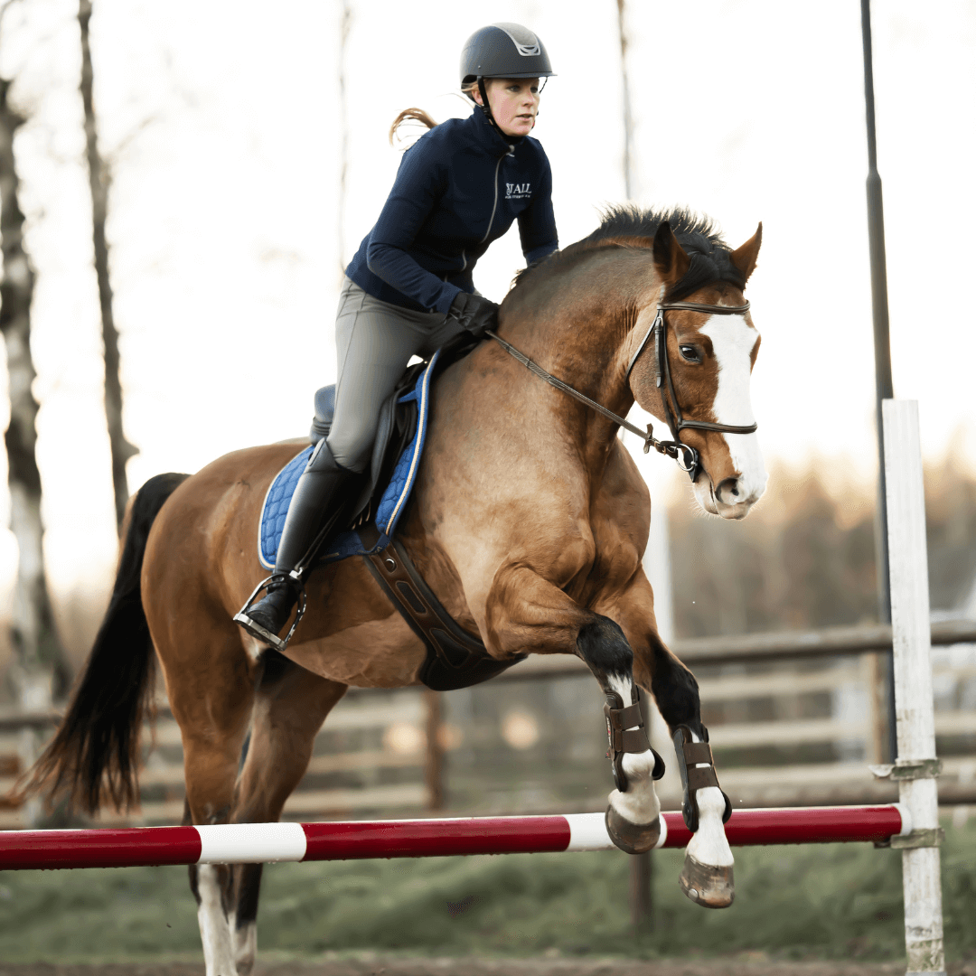 Ulrika Stenson hoppar med hästen Balance